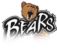 Warwick Basketball logo